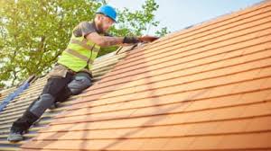 Best Rubber Roofing (EPDM, TPO)  in Roberta, GA